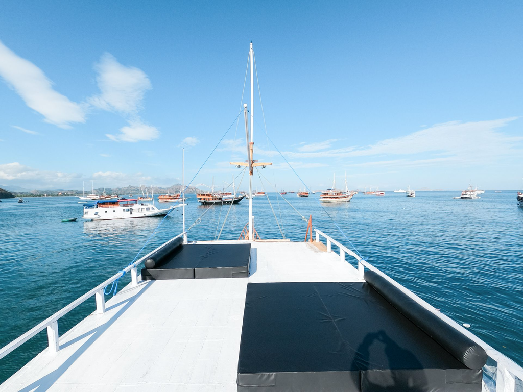 Sundeck.webp