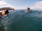 GH010733.webp