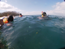GH010733.webp