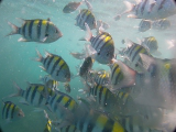 GH010738.webp