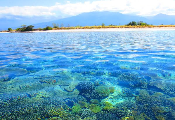 Keindahan-Bawah-Laut-Gili-Bidara-Sumber-@hellolombokku.webp