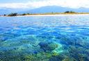 Keindahan-Bawah-Laut-Gili-Bidara-Sumber-@hellolombokku.webp