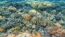 3D2N GILI NANGGU & BENANG KELAMBU STOKEL WATERFALL