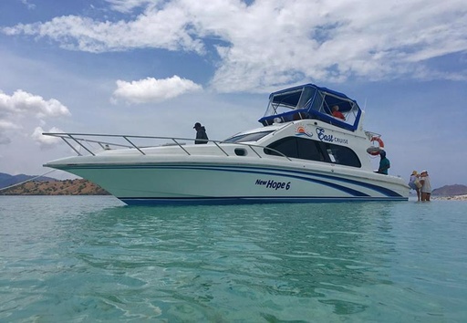 One Day Tour Komodo Island