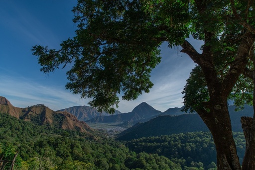 EXPLORE SEMBALUN & TREKKING